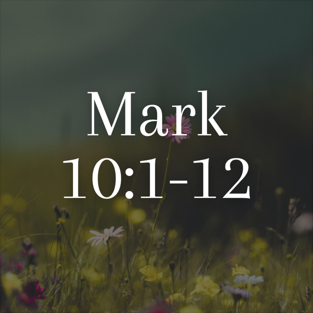 Mark 10:1-12